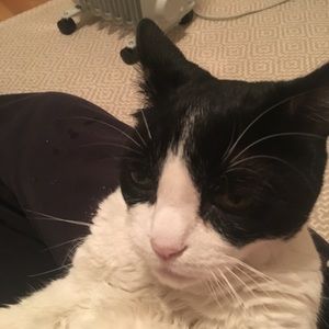 Meet your Posher, Casey